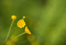 ISO in Photography: What It Really Does (and Which ISO to Use) Understanding ISO