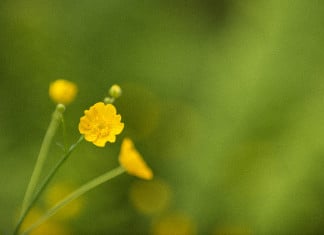 ISO in Photography: What It Really Does (and Which ISO to Use) Understanding ISO