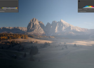 Mastering the Histogram: An Essential for Better Photography Understanding the Histogram