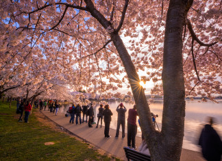 My Most Important Tool for Photography important tool for photography