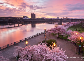 Why You Should Start Shooting Landscapes During Golden Hour