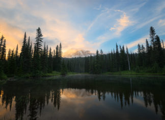 Capture the Full Dynamic Range by Taking Multiple Exposures