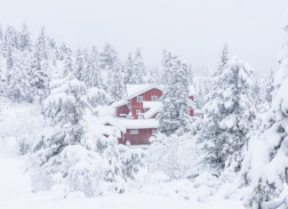 Gear Review: Manfrotto XPRO Video Monopod Plus