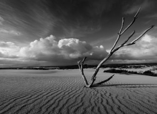 Storytelling in Landscape Photography: Creating a Landscape Memoir Storytelling in Landscape Photography