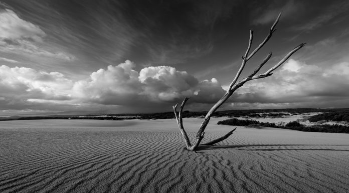 Storytelling in Landscape Photography: Creating a Landscape Memoir Storytelling in Landscape Photography