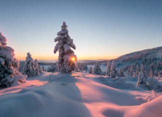 How to Capture Beautiful Winter Pictures