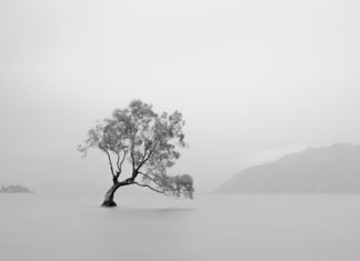 Six Reasons You Must Use Black & White for Landscape Photography Black and White landscape photography