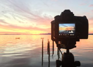 What is Live View in Photography? (And Why it Matters)