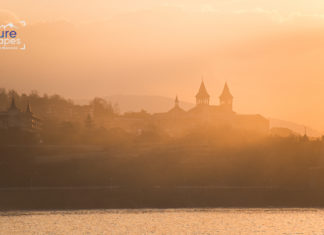 Processing with Picktorial 3: An All-in-One RAW Editor? Picktorial Review