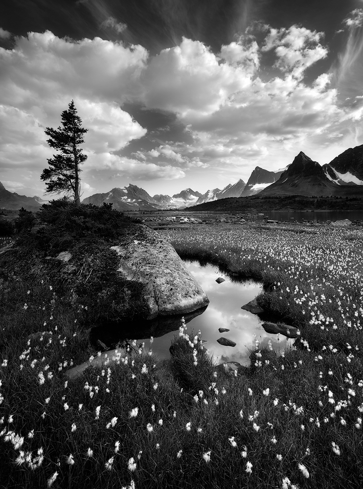 Introduction To Black And White Photography The Essential Guide Introduction To Black And White Photography The Essential Guide