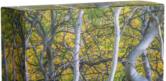 Sharpening Workflow for Photographers