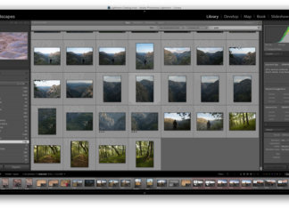 3 Mistakes Beginners Make in Lightroom and How to Fix Them Keywording in Lightroom