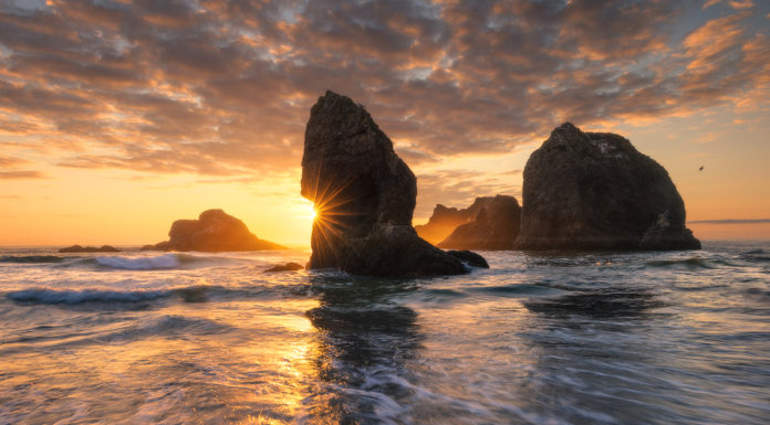 Photographer of the Month: David Thompson Photographer of the Month: David Thompson