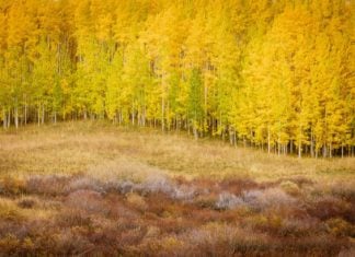 How Photography and Full-Time Travel Healed a Broken Heart Photographer living in RV