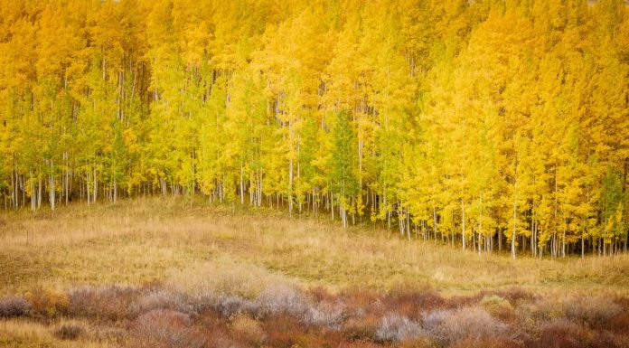 How Photography and Full-Time Travel Healed a Broken Heart Photographer living in RV