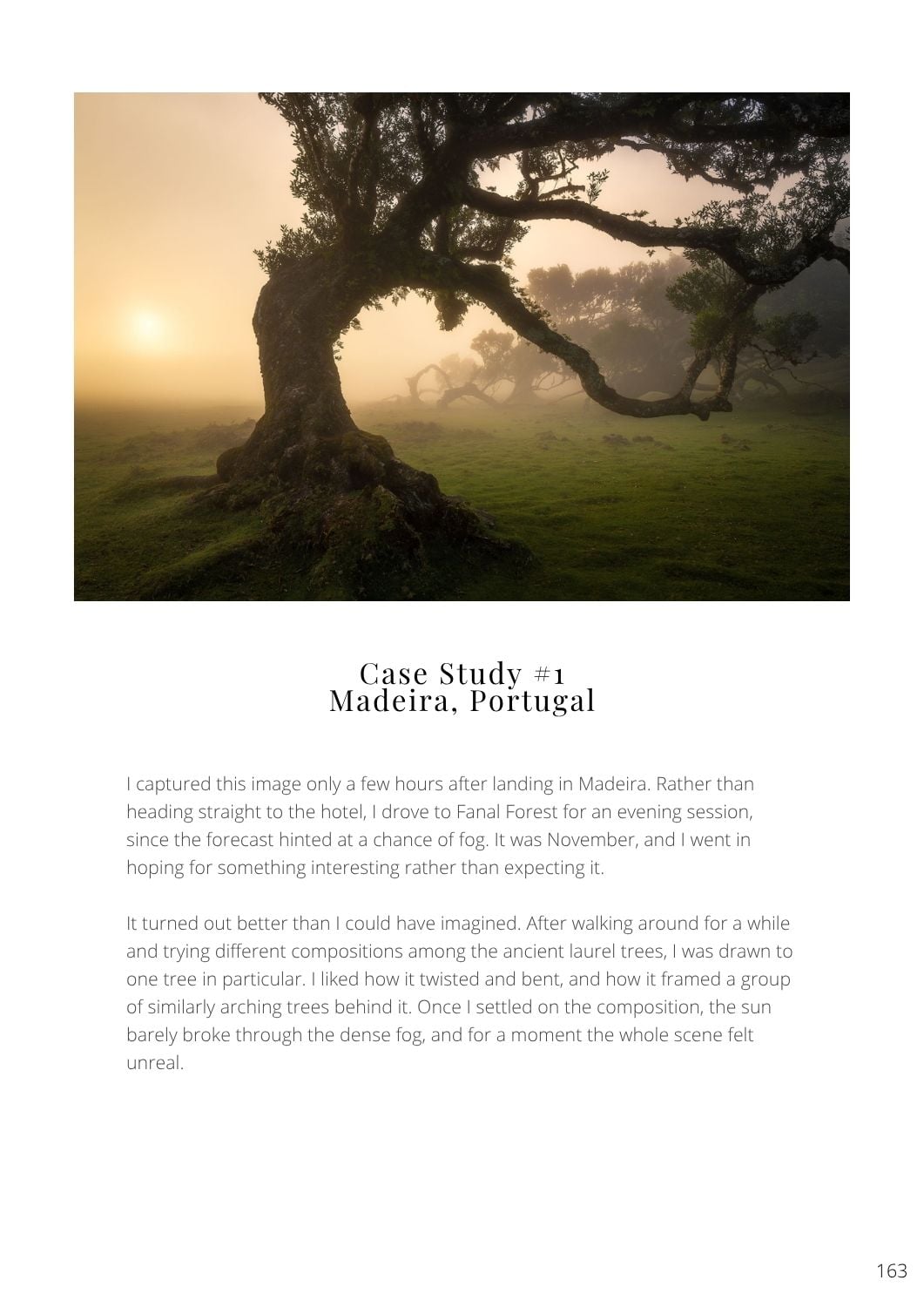 The Foundations of Landscape Photography - Image 8