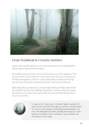 The Foundations of Landscape Photography - Image 6