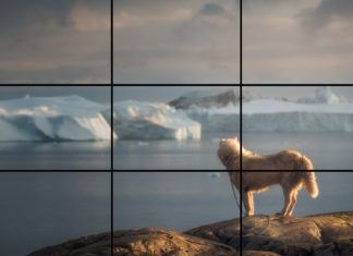 Rule of Thirds in Photography: A Simple Guide to Stronger Images Rule of Thirds Explained
