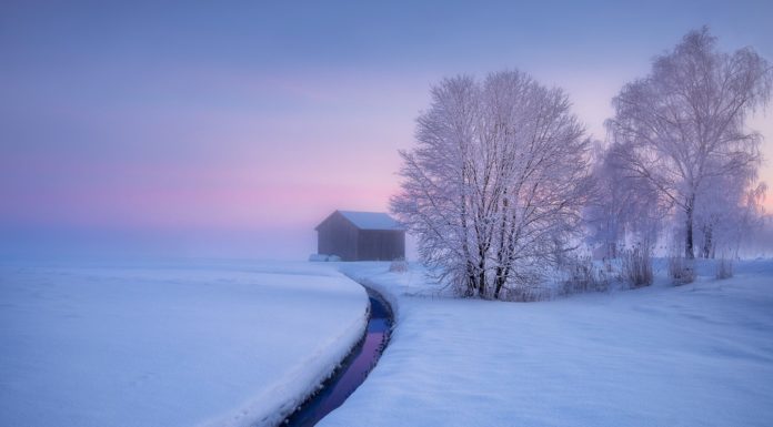 Behind the Lens: A Cold Bavarian Morning Behind the Lens: Anne Schneidersmann