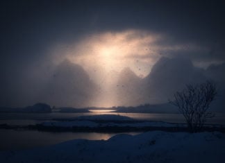 Photographer of the Month: Arild Heitmann Arild Heitmann Interview
