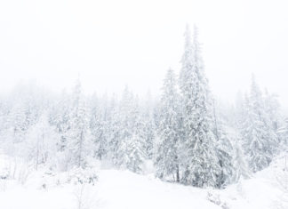 Extend Battery Life for Winter Photography Extend Battery Life Winter Photography