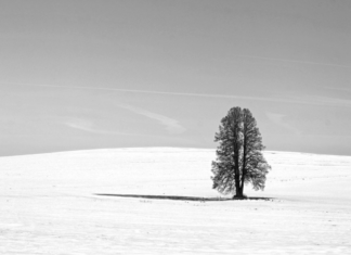 Natural Light: How to Use the Sun’s Settings Natural Light