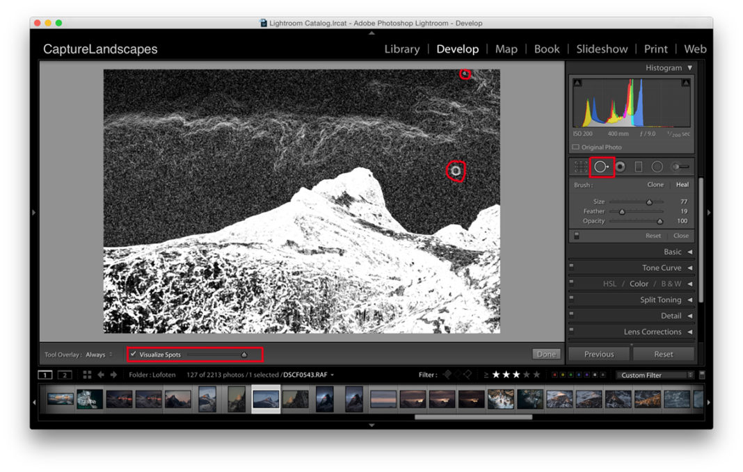 Visualize Spots Reveal Dust Spots in Lightroom CaptureLandscapes