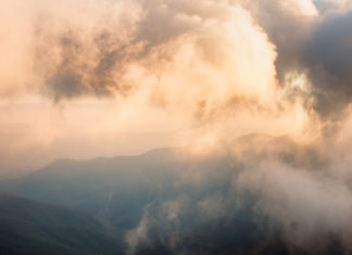 The Importance of Studying Other Photographers Study the work of other photographers