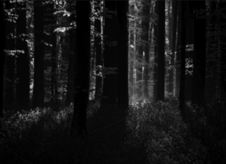 Dodging & Burning Through Luminosity Masks Dodge and Burn Through Luminosity Masks