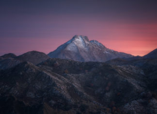 Quality vs. Quantity: 4 Photographer’s Advice on Growing an Online Following Quality vs. Quantity: 4 Photographer’s Advice on Growing an Online Following