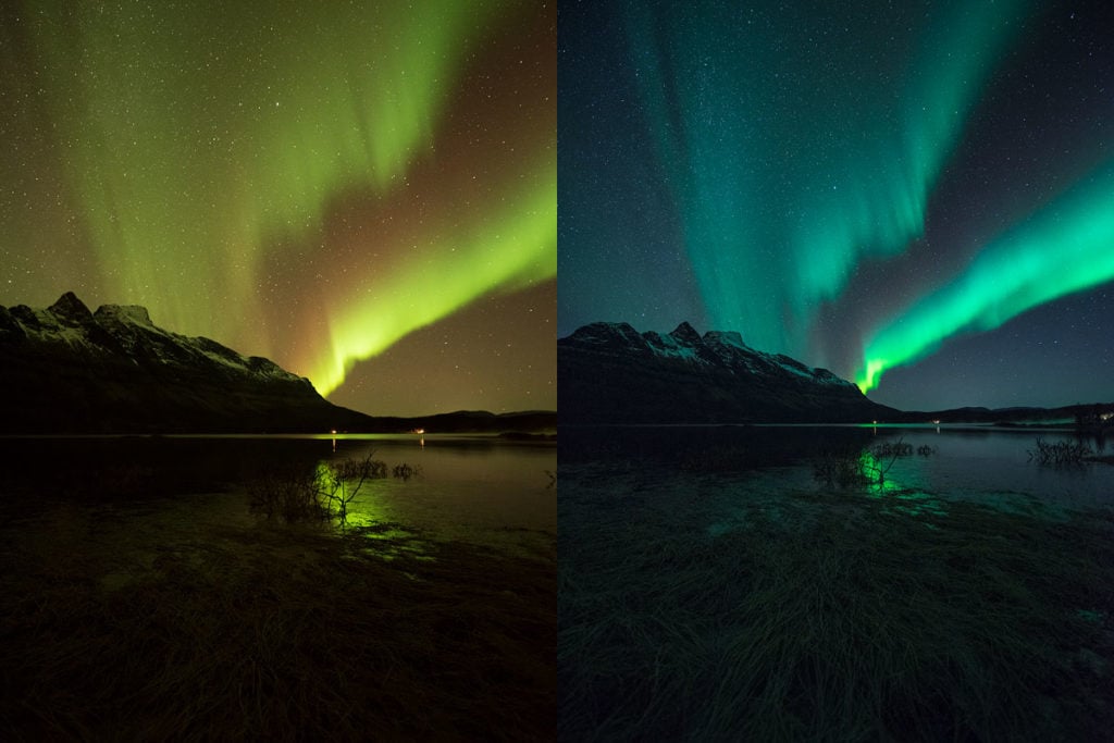 Common Camera Setting Mistakes Beginners Make