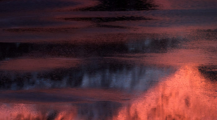 Should You Look at Other Photographers’ Work? Should You Look at Other Photographers' Work