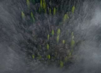 10 Tips to Capture Better Drone Nature Photographs Drone nature photography