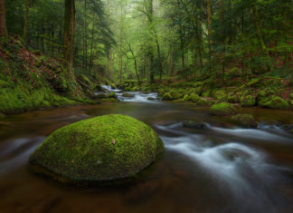 Video: Tips for Photographing Rivers Tips for Photographing Rivers