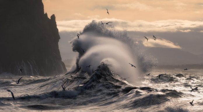 Photographer of the Month: Majeed Badizadegan Majeed Badizadegan Interview