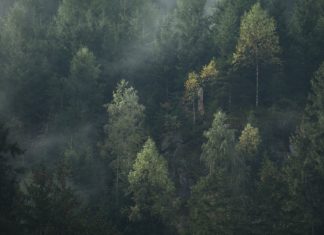 How to Identify a Bad or De-Centered Lens