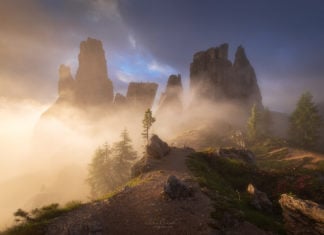 Photographer of the Year 2019: Erin Babnik Erin Babnik Photographer of the Year