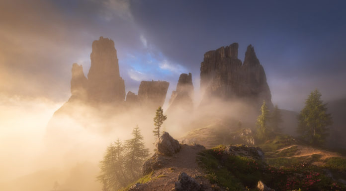 Photographer of the Year 2019: Erin Babnik Erin Babnik Photographer of the Year