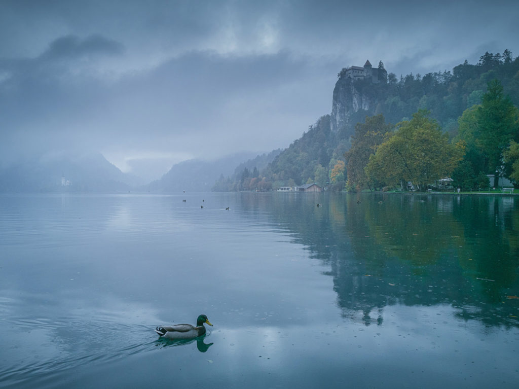 How to photograph using a smartphone