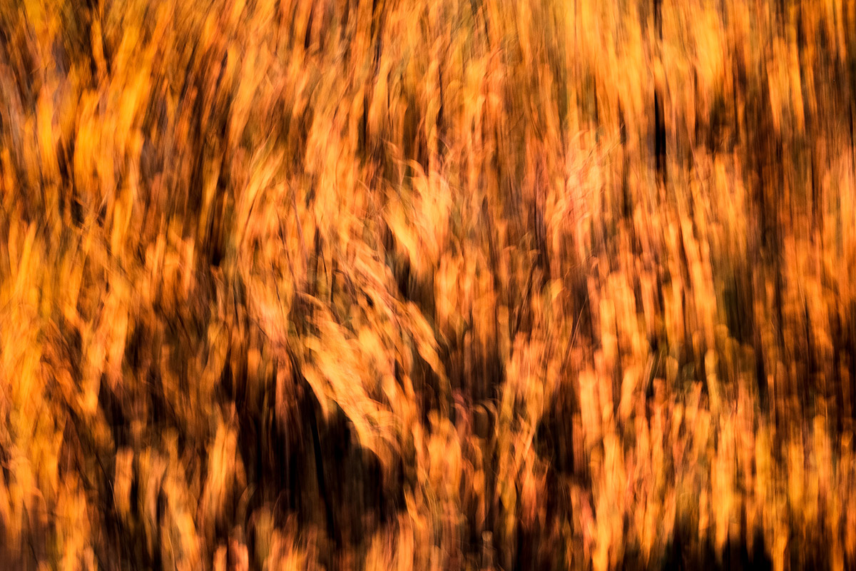 Abstract Landscape Photography Daylight