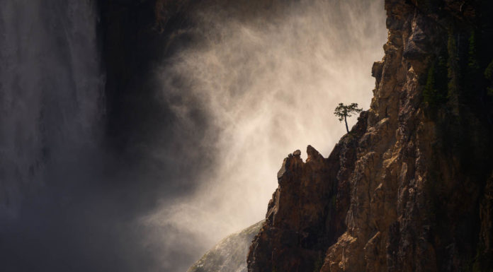 Photographer of the Month: Jennifer Renwick Jennifer Renwick Interview