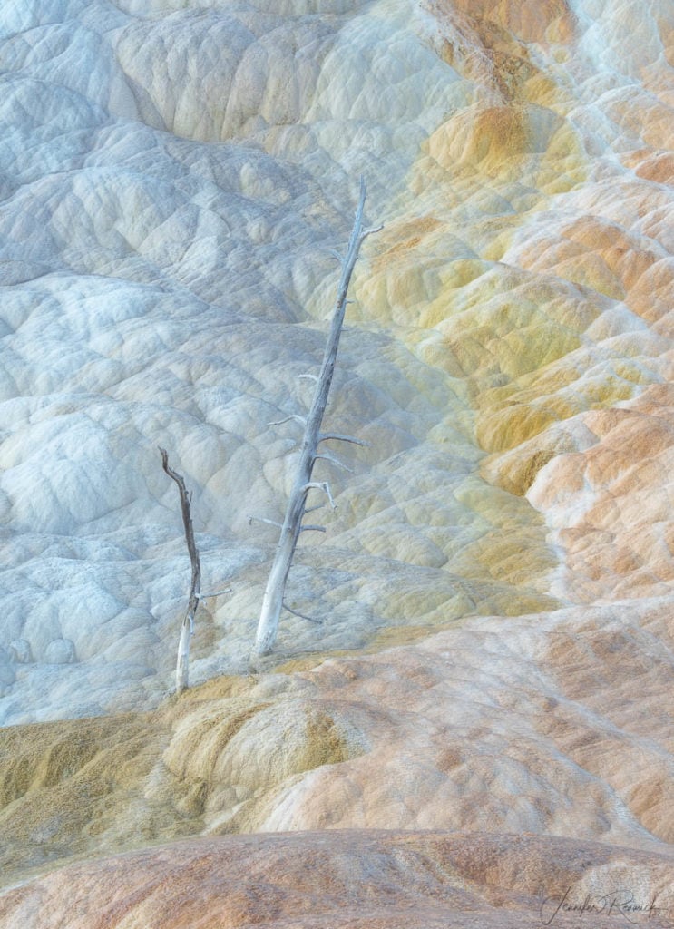 Photographer of the month Jennifer Renwick