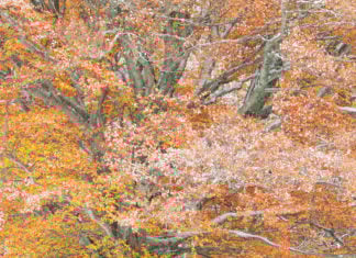 Interview with Kristel Schneider