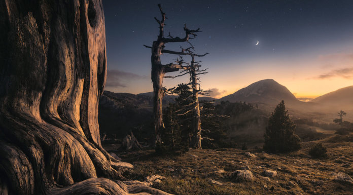 Photographer of the Month: Roksolyana Hilevych Roksolyana Hilevych Interview