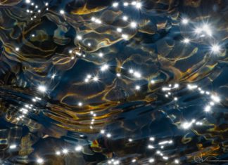 5 Professional Tips for Photographing Harsh Light Photographing Harsh Light