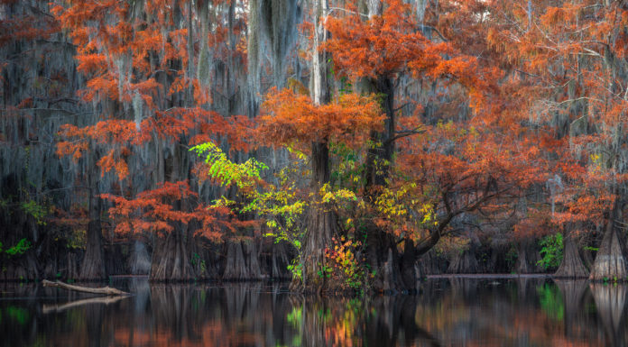 Photographer of the Month: Max Foster Photographer of the Month Max Foster