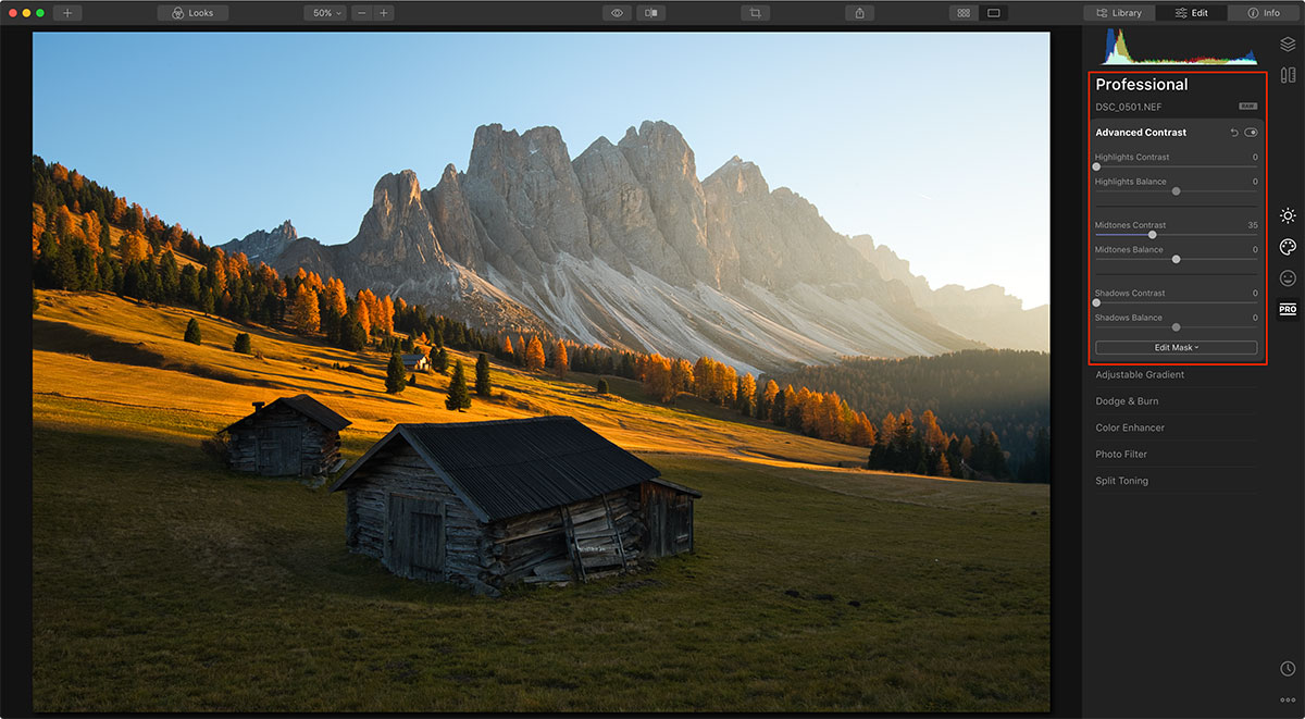 Contrast in Autumn Photographs