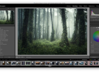 How to Use the Color Grading Tool in Lightroom Color Grading Tool in Lightroom