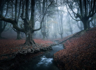 Introductions to the Fundamentals of Landscape Photography Fundamentals of Landscape Photography