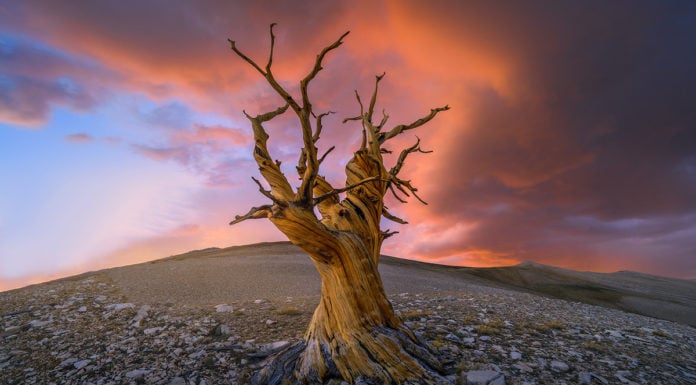 Photographer of the Month: Greg Boratyn Photographer of the Month Greg Boratyn